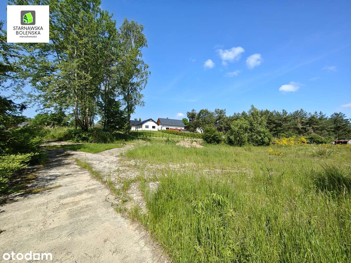 st926876 - Pełny obrazek: 5/5