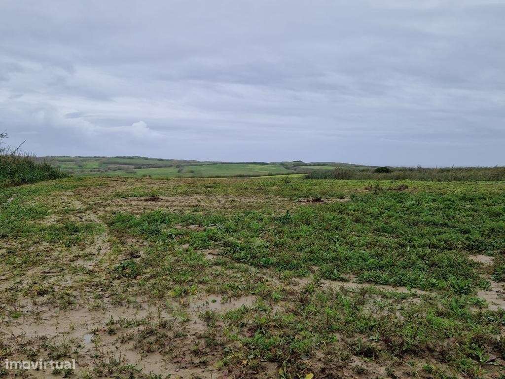 Terreno Para Agricultura em Torres Vedras-4