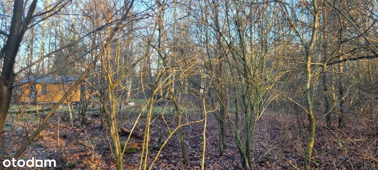 Działka budowlana, ciche i spokojne miejsce Grodzisk Mazowiecki.-7