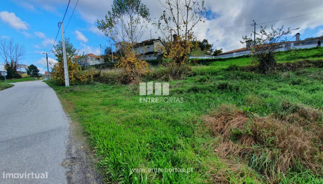 Venda Terreno com possibilidade de construção, Campelo, Baião - Grande imagem: 5/30