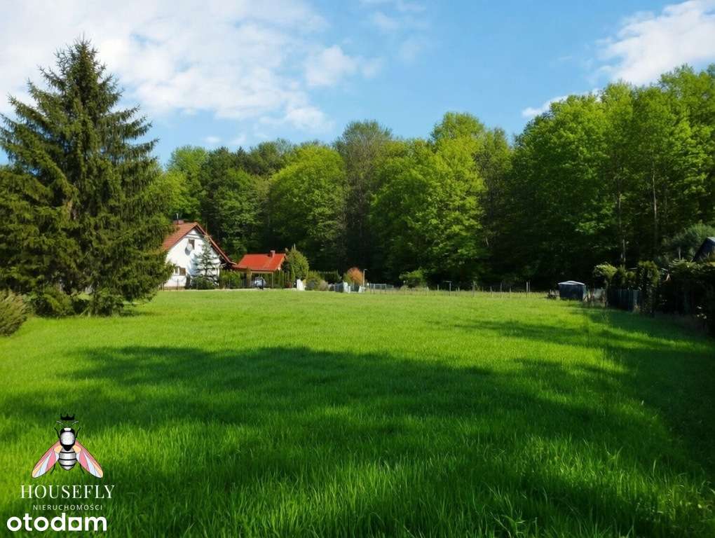 Działka Kużnica Głogowska przy lesie-1