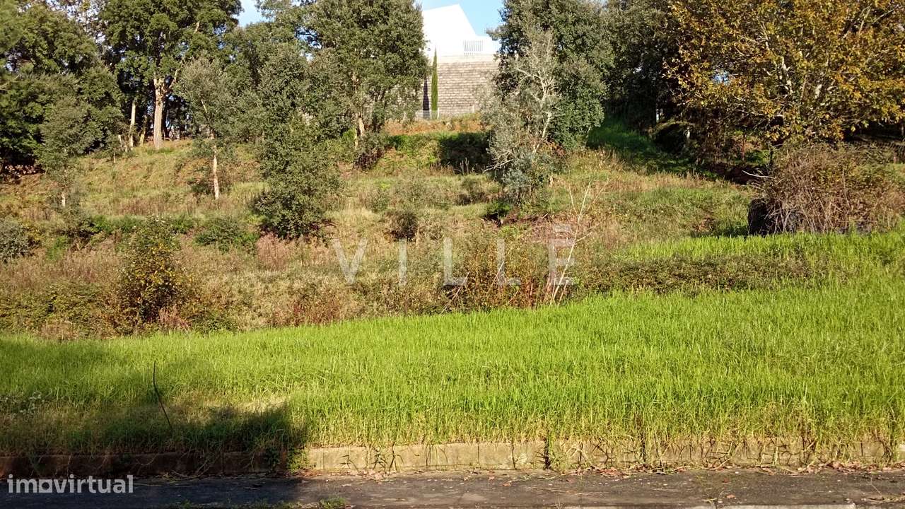 Terreno para construção em Macinhata do Vouga - Águeda. - Grande imagem: 4/6