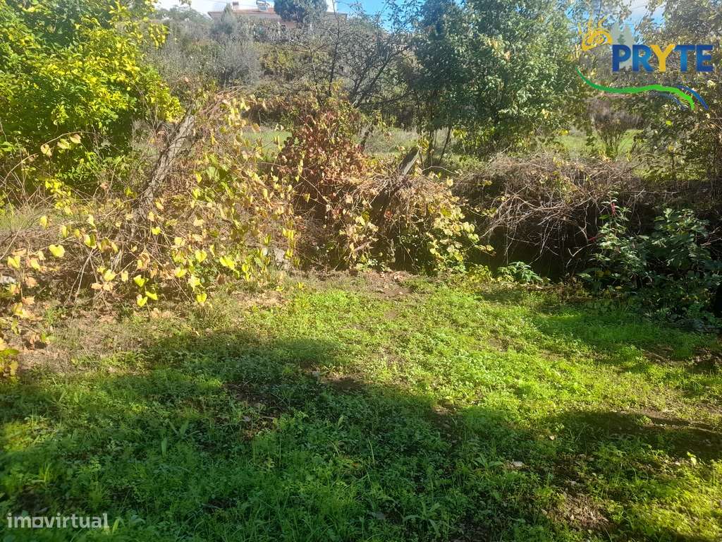 Terreno com 6000 metros quadrados em Linhares - Proença-a-Nova - Grande imagem: 5/12
