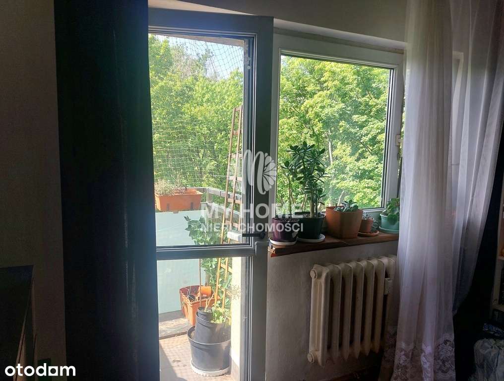 38m2 na zielonej Sadybie!-2