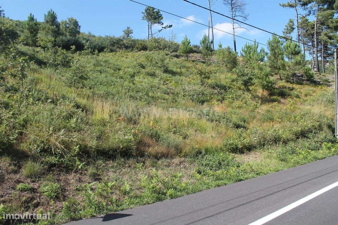 Terreno / Baião, Gove - Grande imagem: 5/6