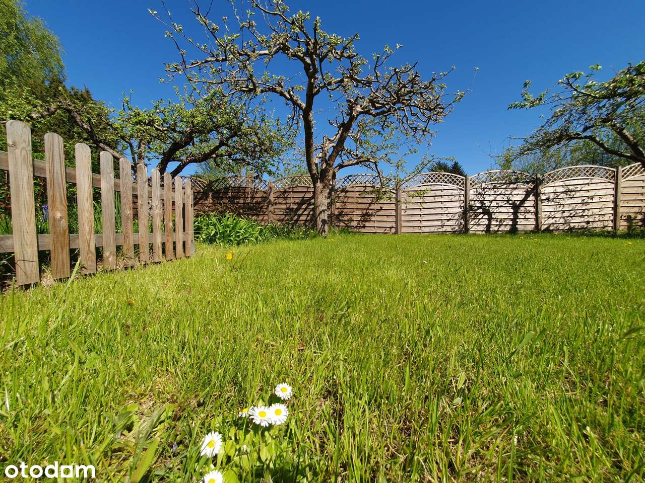 Zadbany ogródek działkowy z nowym domkiem na Dolnym Mokotowie - Pełny obrazek: 3/19