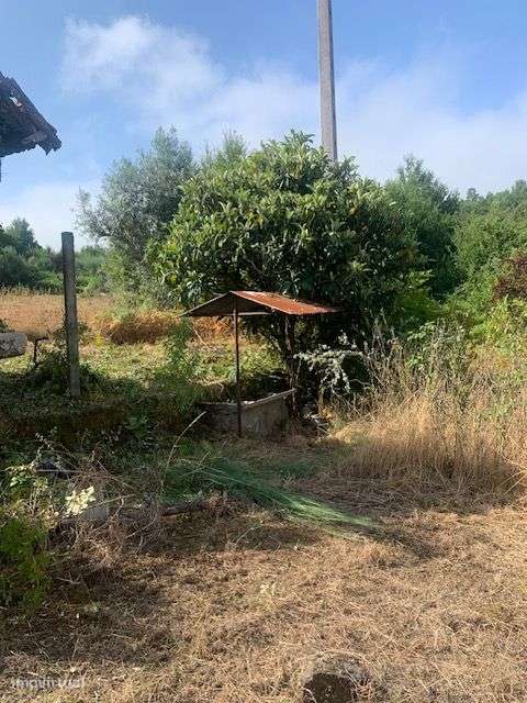 Quinta do Barreiro com 2 Casas para Recuperar-8
