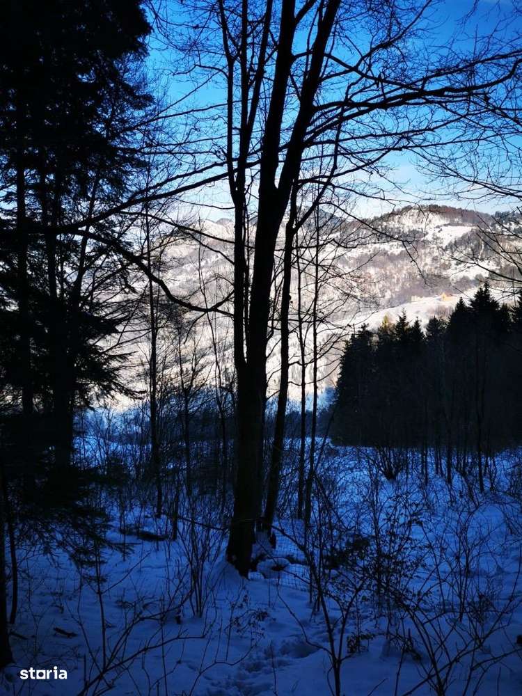 Teren intravilan Valea Rasnoavei-Paraul Rece/ hotel Piatra Craiului - Imagine principală: 2/3