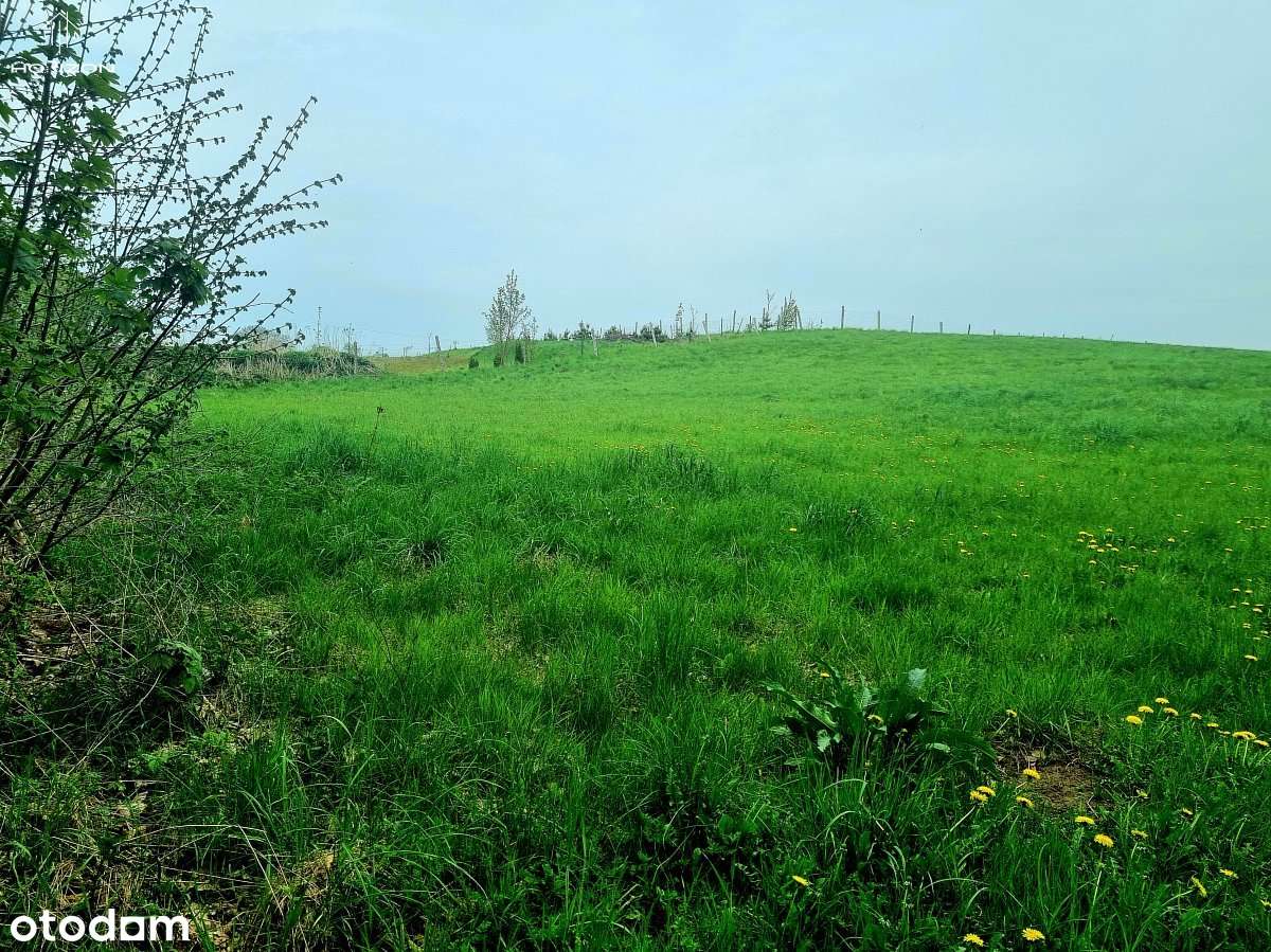 Działka budowlana z pięknym widokiem - 12 km od Kołobrzegu! - Pełny obrazek: 5/9