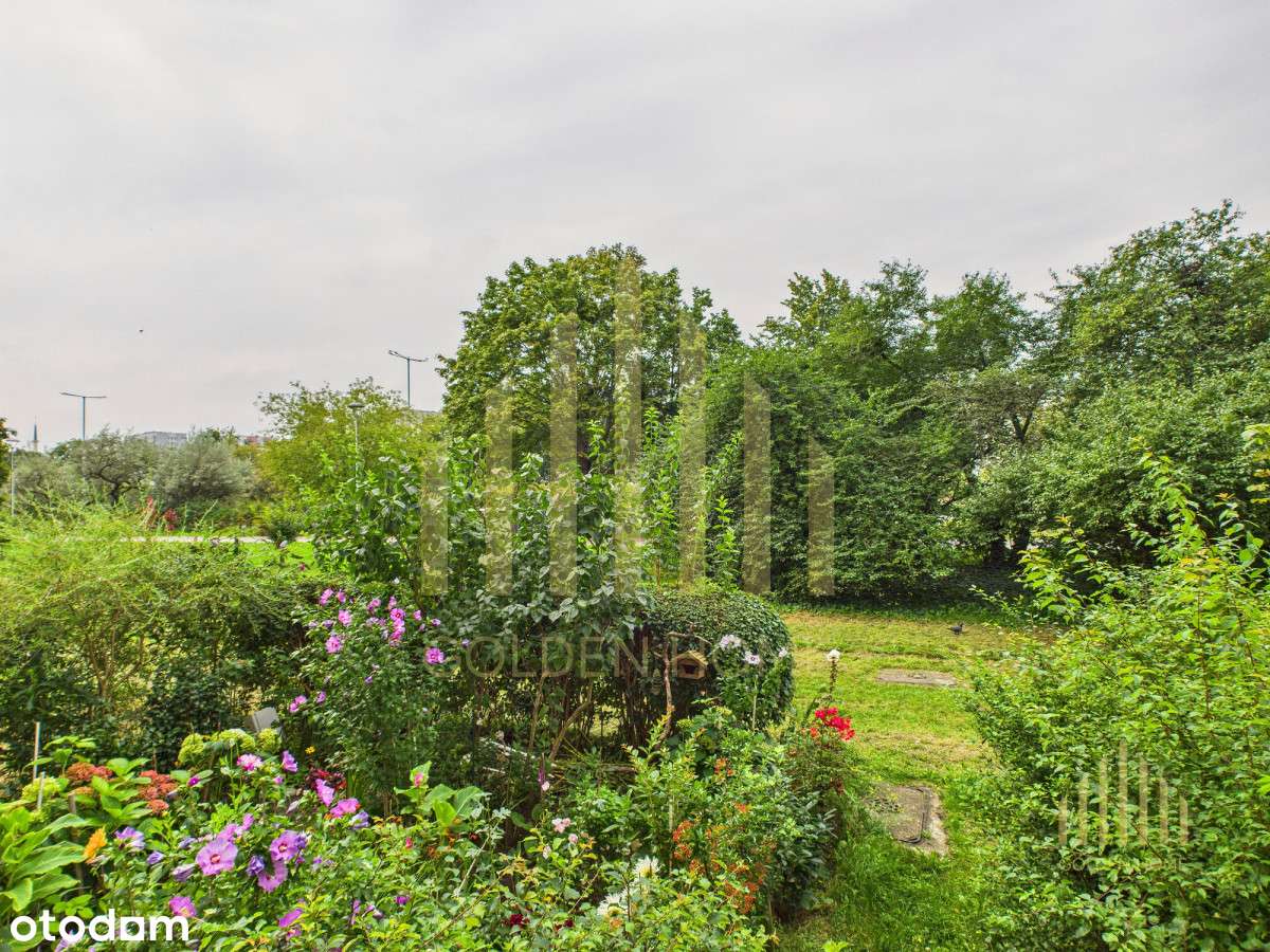 Zakup Bez Prowizji  przymorze Swpl Kawalerka Hit-3