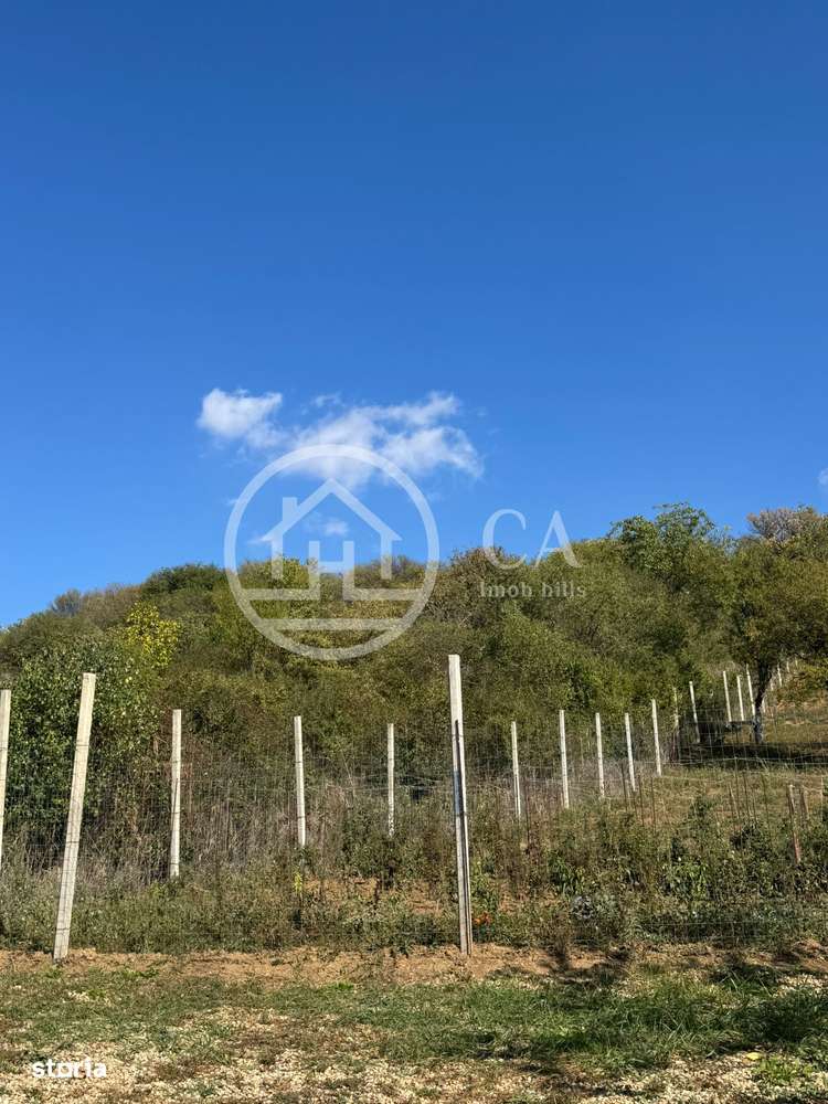 Teren de vânzare in zona de Dealuri, Oradea - Imagine principală: 3/4