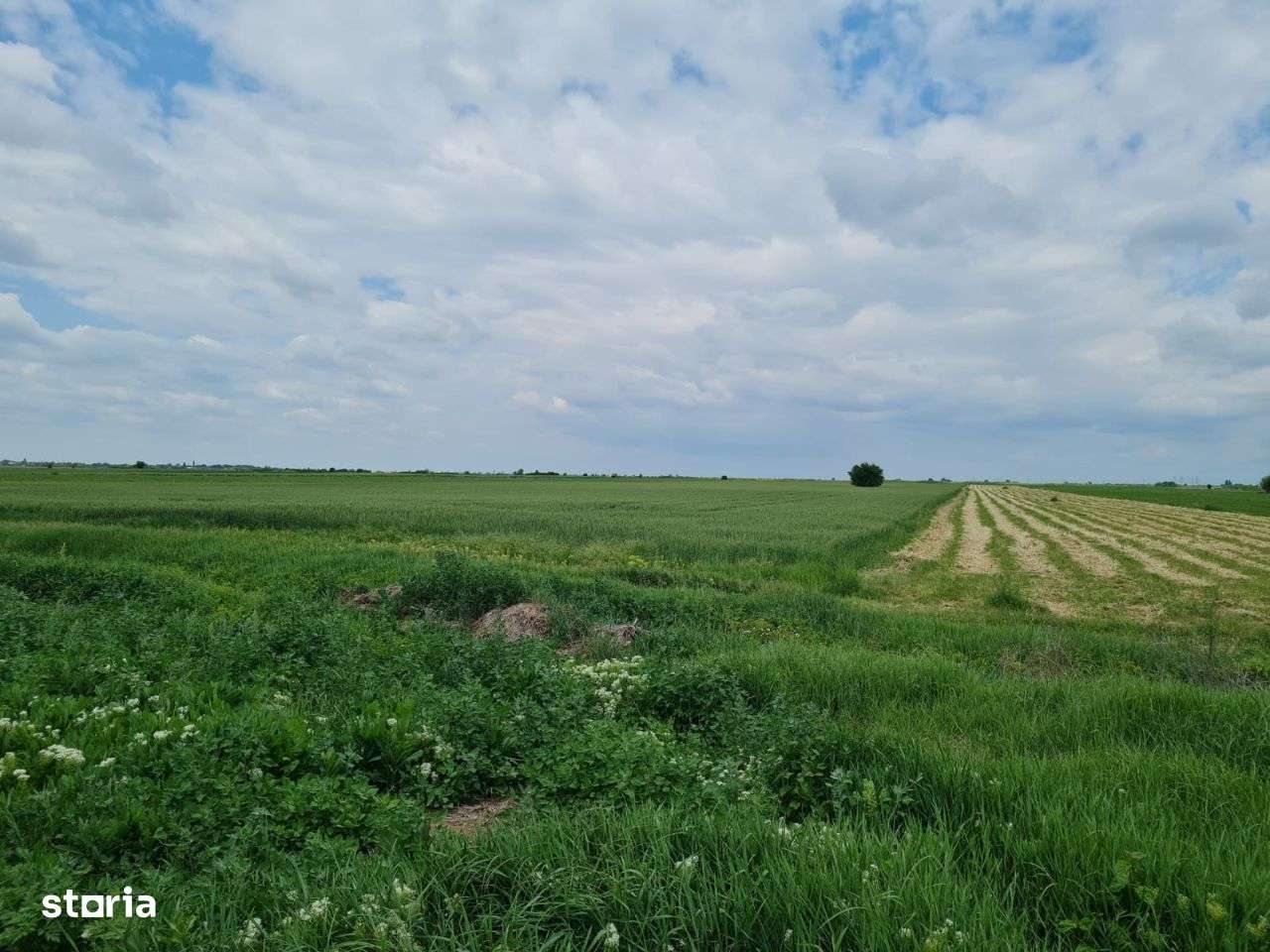 Teren Tartasesti - Brezoaie , deschidere generoasa la sosea-2