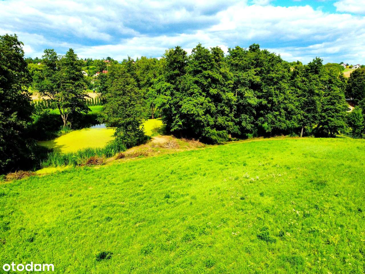 Wyjątkowa działka 81 ar | Przybysławice | staw, zieleń, media, MPZP-17