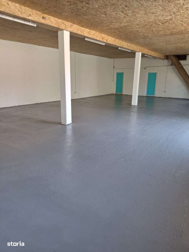 Hală 200 mp cu teren Curtesti-2