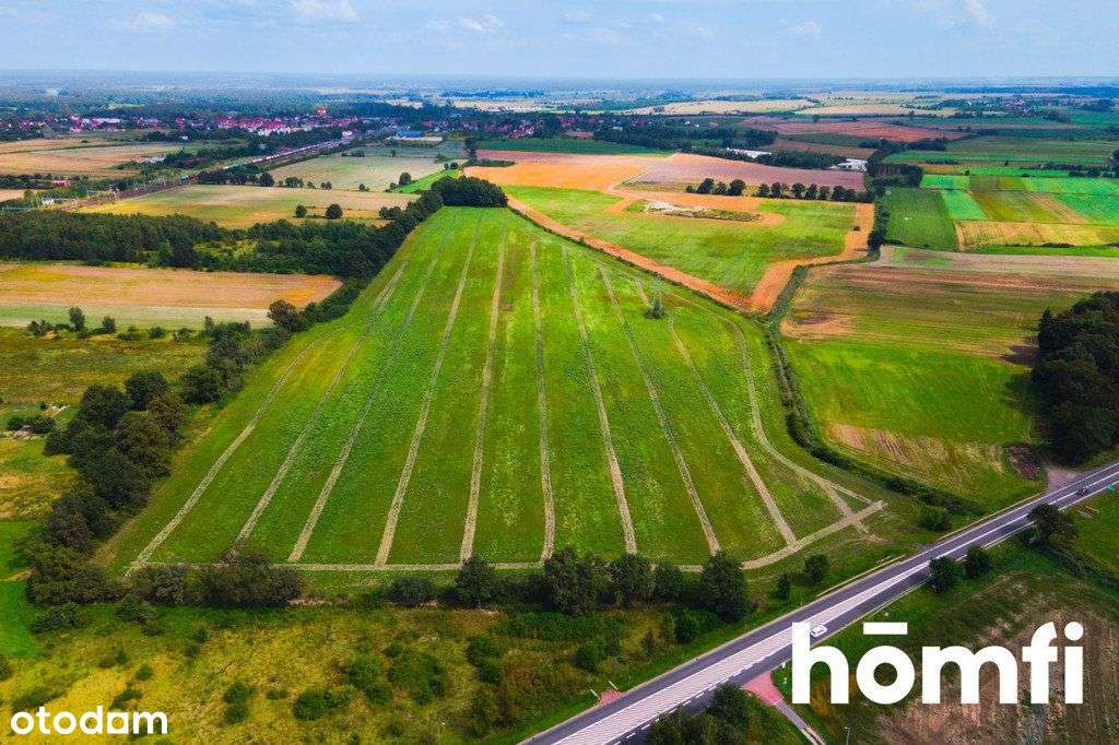 Działka inwestycyjna 11,9 ha w Mazurowicach-4