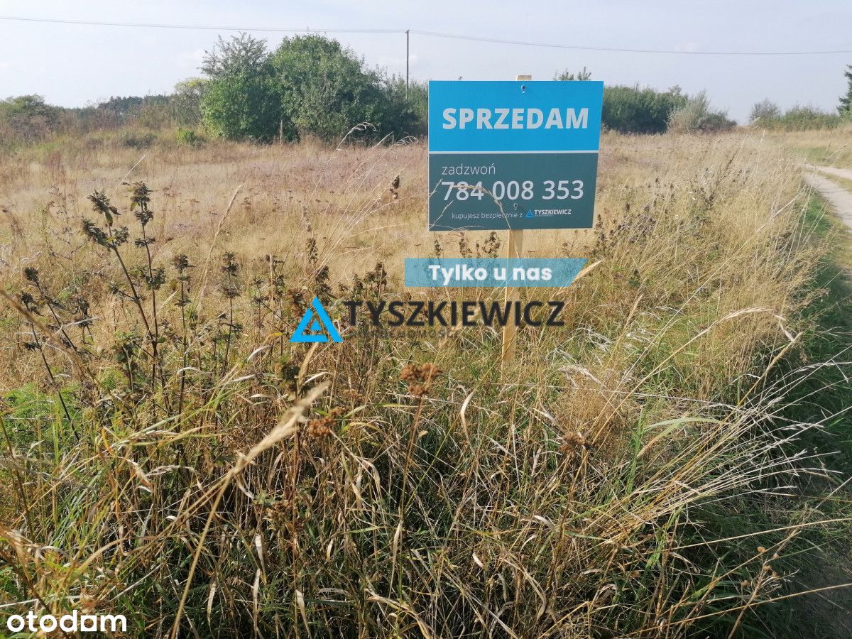 Działka 5000 m2 - okolica cicha i kameralna