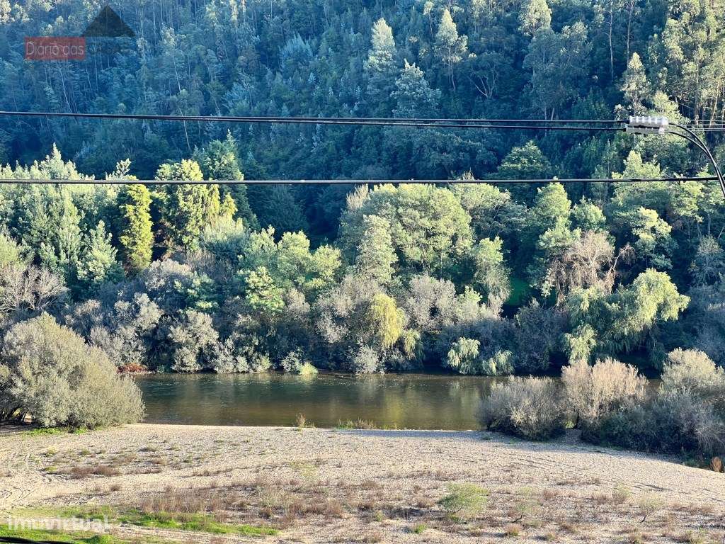 Lagar em Coimbra - Torres do Mondego (Coimbra) Portugal-35