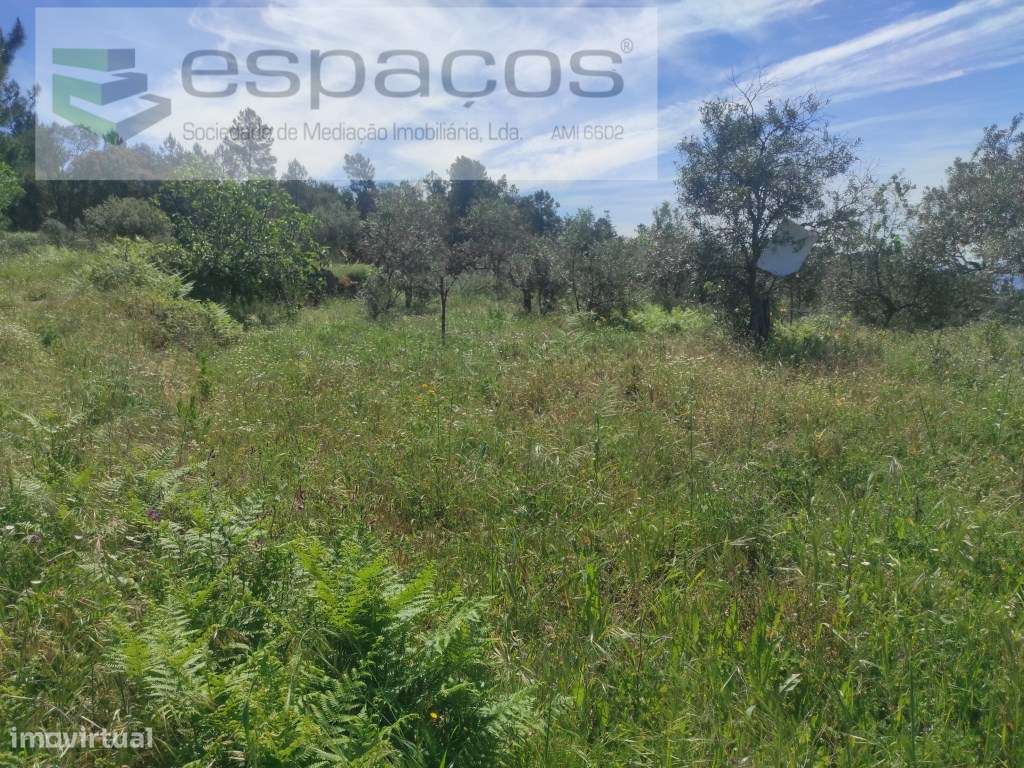 Terreno Rustico - Grande imagem: 2/16