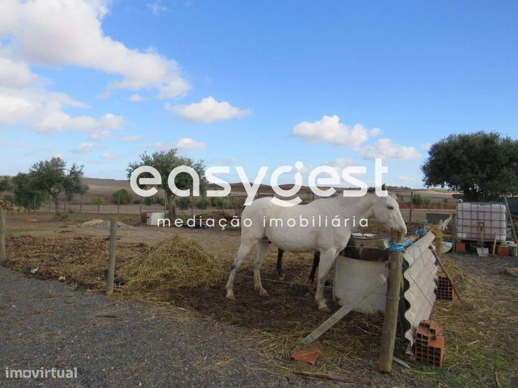 Terreno com apoio Agrícola em Aljustrel - Grande imagem: 4/19