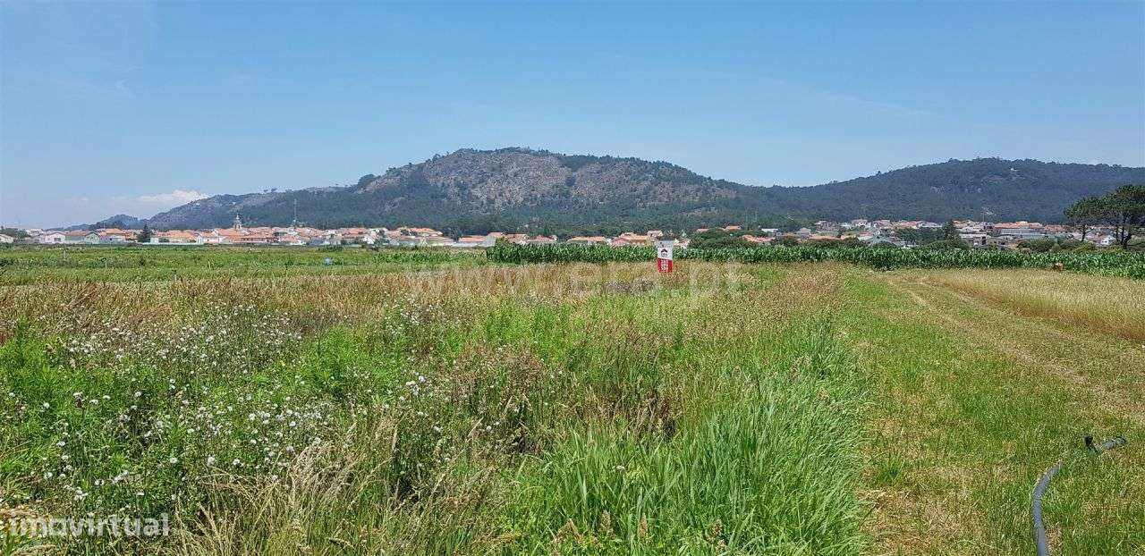 Terreno agricola junto ao Mar, Esposende - Grande imagem: 4/8