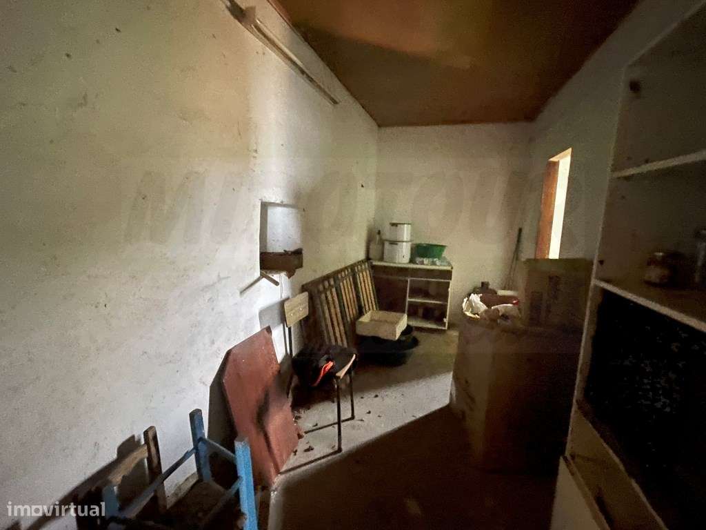 HERDADE COM 100 HECTARES E BASTANTE ARBORIZAÇÃO-30