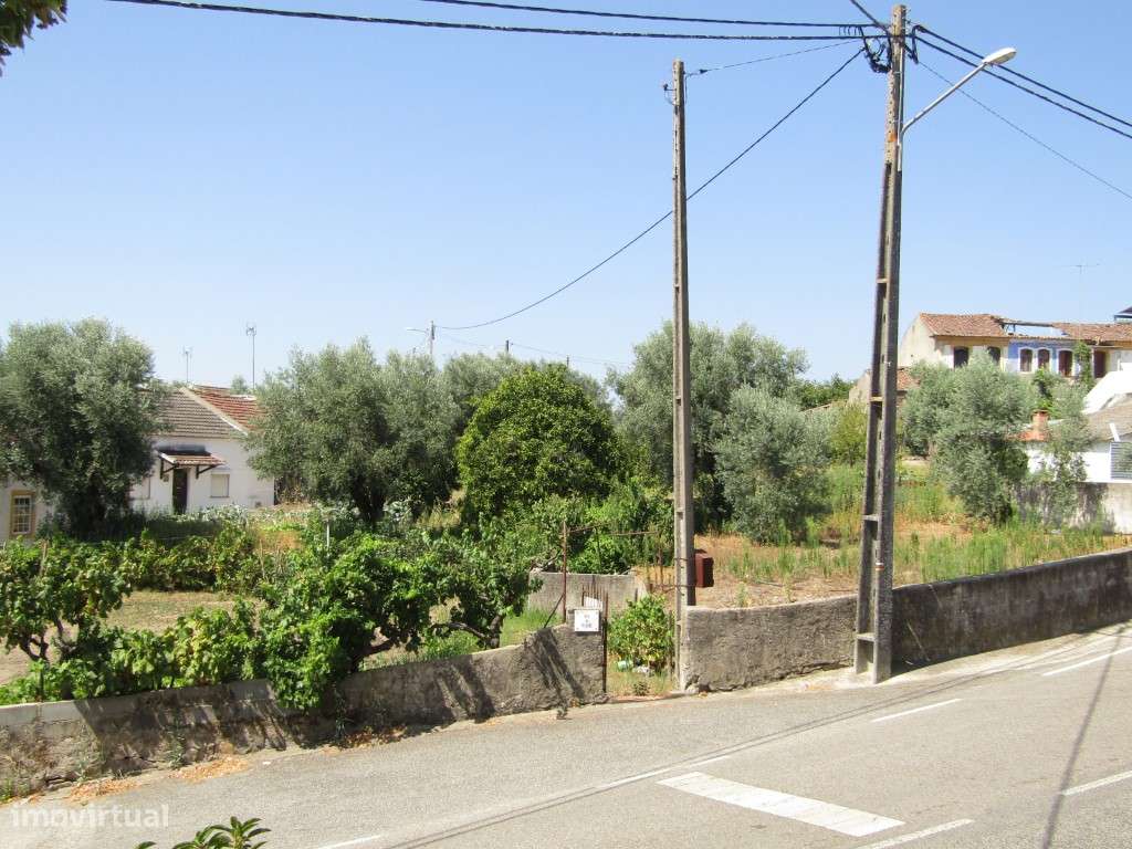 Lote da Tapada, Sardoal-3