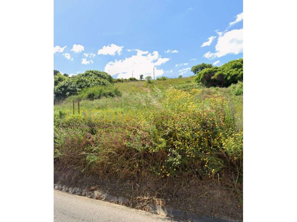 Terreno para construção com 882m2 em Pernes - Grande imagem: 4/6