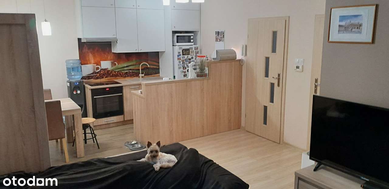 2 osobne mieszkania Biznes Technik dentystyczny Pracownia protetyczna-5