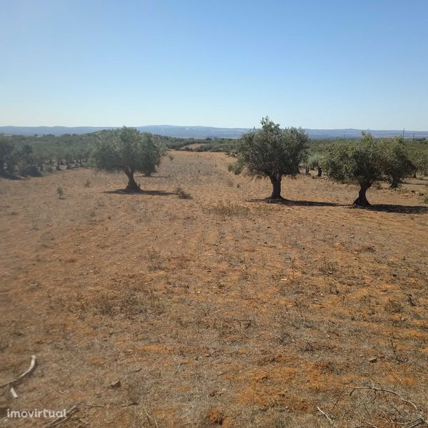 Propriedade/terreno em Vila Boim