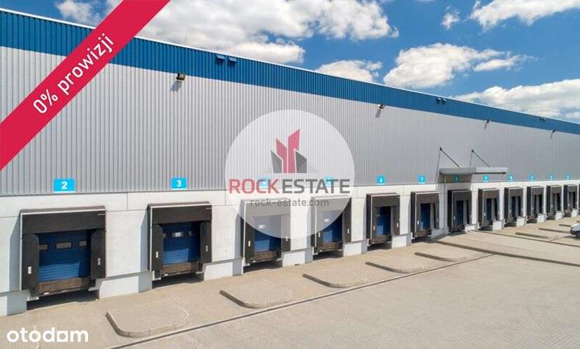 Magazyn w Piasecznie do wynajęcia od zaraz - Pełny obrazek: 4/5