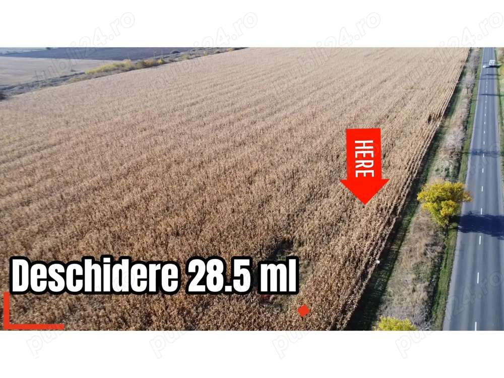 TEREN DE VÂNZARE – DIRECT DE LA PROPRIETAR! - Imagine principală: 4/4