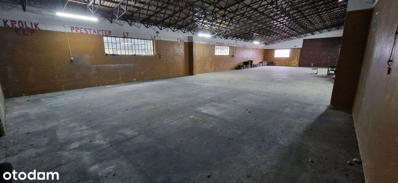 Hala pod magazyn, produkcje, handel itp - Pełny obrazek: 4/6