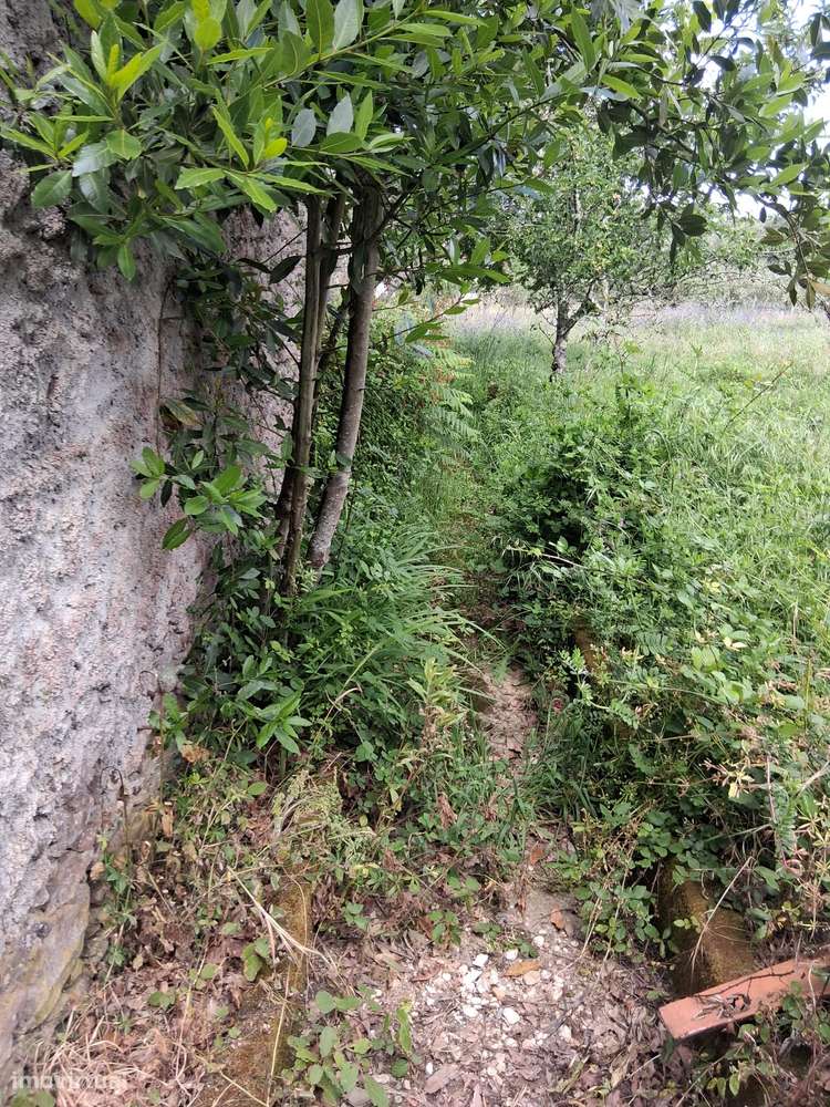 Moradia para Restaurar com Terreno Urbano – Cadaixo, Miranda do Corvo-25