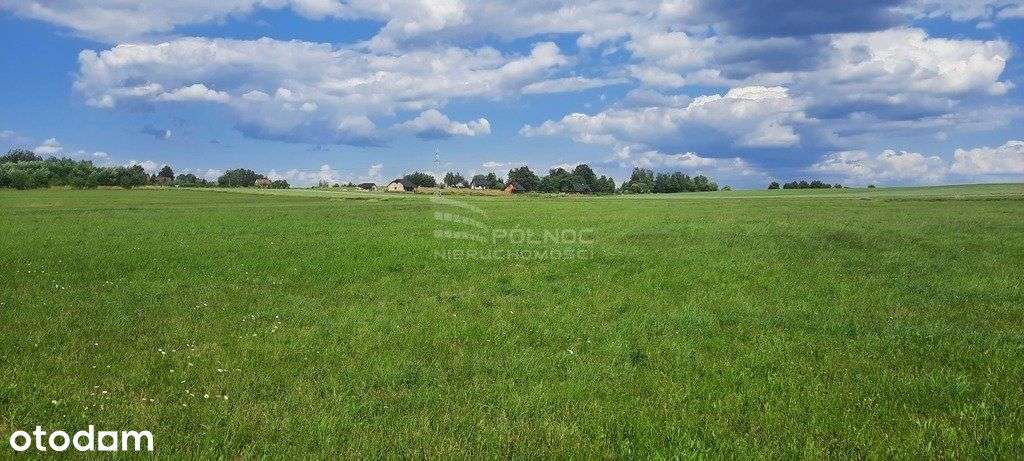 Działka rolna. Dobrzyniewo Kościelne. - Pełny obrazek: 4/8