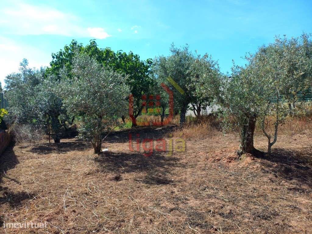 Terreno para Construção! - Grande imagem: 3/4