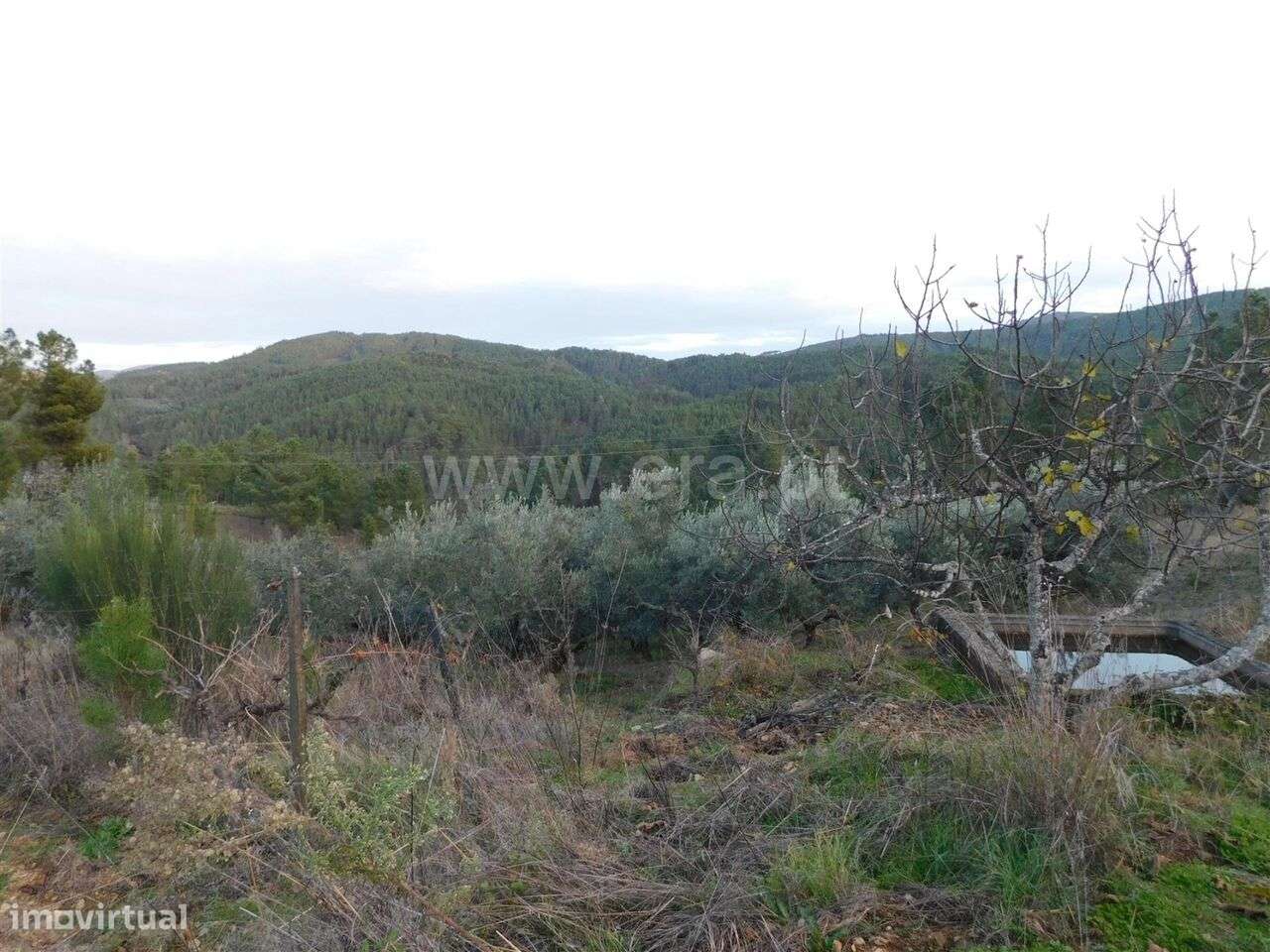 Terreno para Construção / Fundão, Silvares - Grande imagem: 3/4