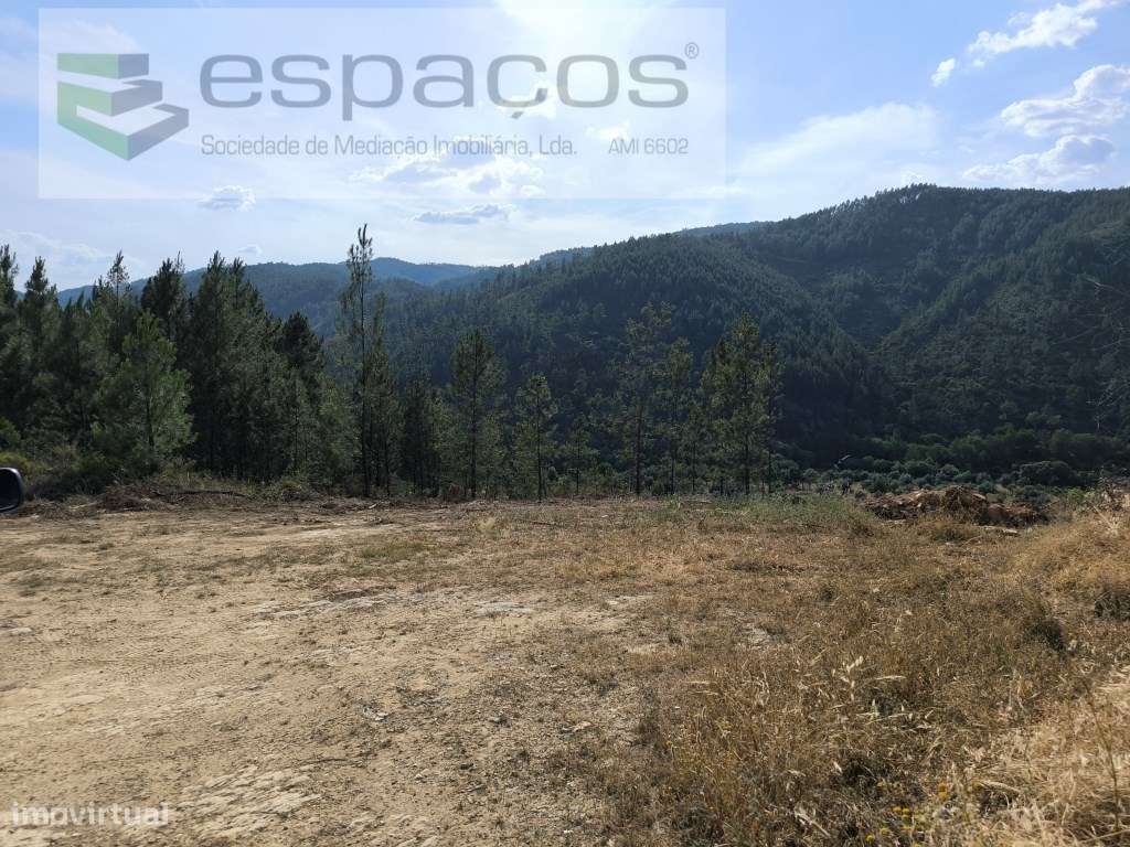 Terreno rústico junto ao Sesmo - Grande imagem: 3/9