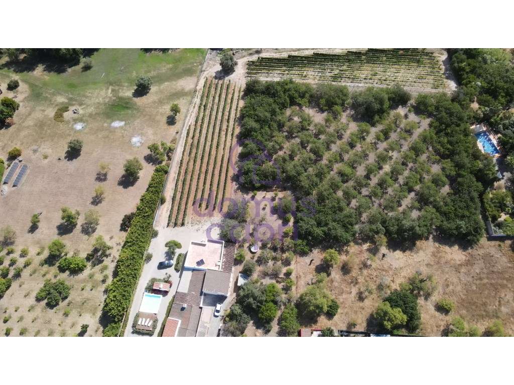 Moradia T2 + 2 para renovar em Arroio - Luz de Tavira-32
