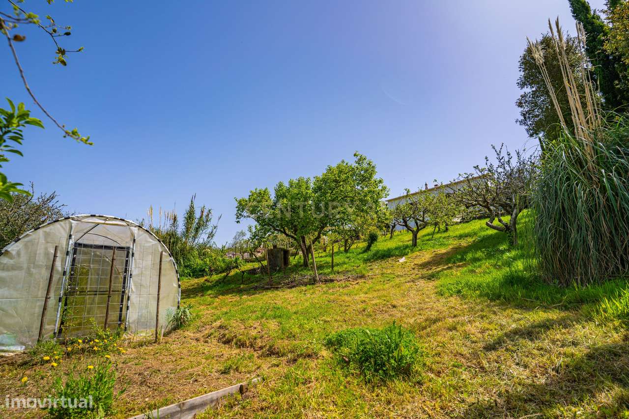 Moradia T3 localizada no Carvalhal, Bombarral-35