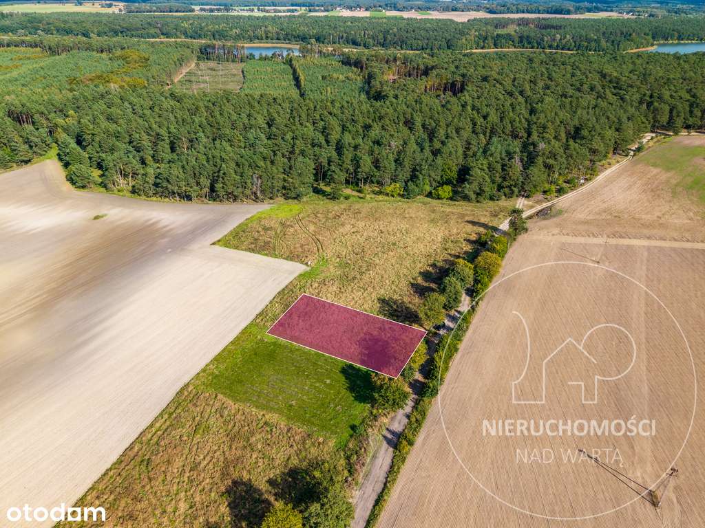 Działka budowlana w sąsiedztwie jez. Budziszewskie-3