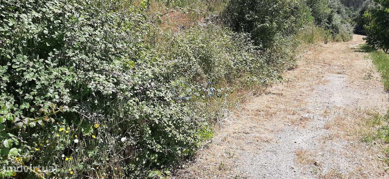 Terreno com Projeto Aprovado para Moradia em Besteiras – Águas Belas-17