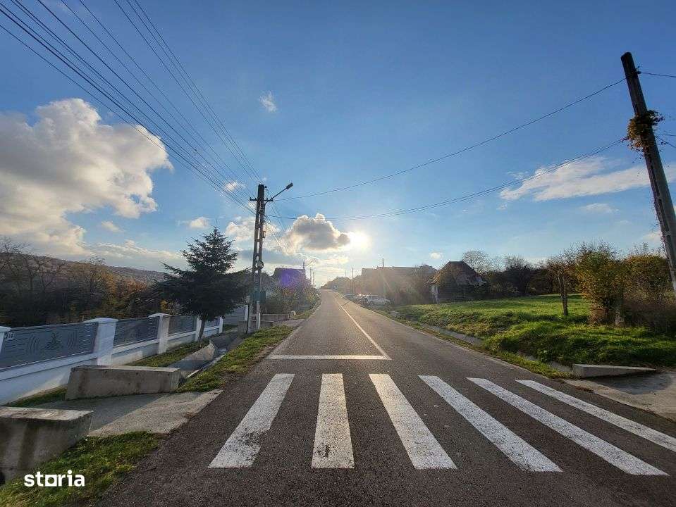 Teren 11.939 mp Balanesti – ideal rezidential/comercial-5