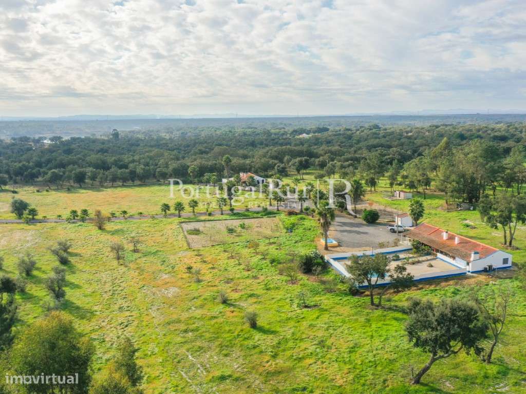 Quinta de 5 hectares, com 2 moradias e piscina-5