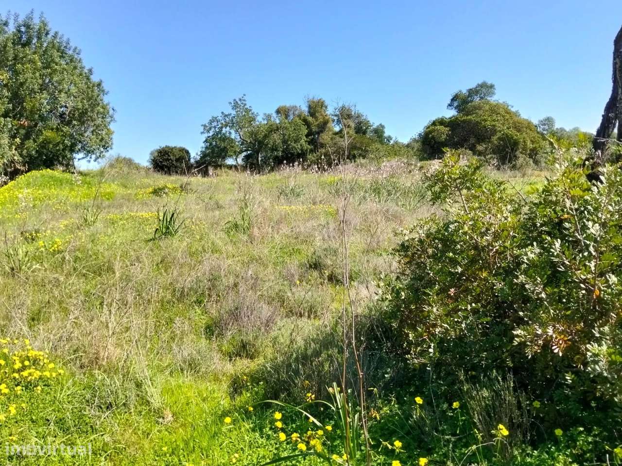 Lote de Terreno Rustico-5