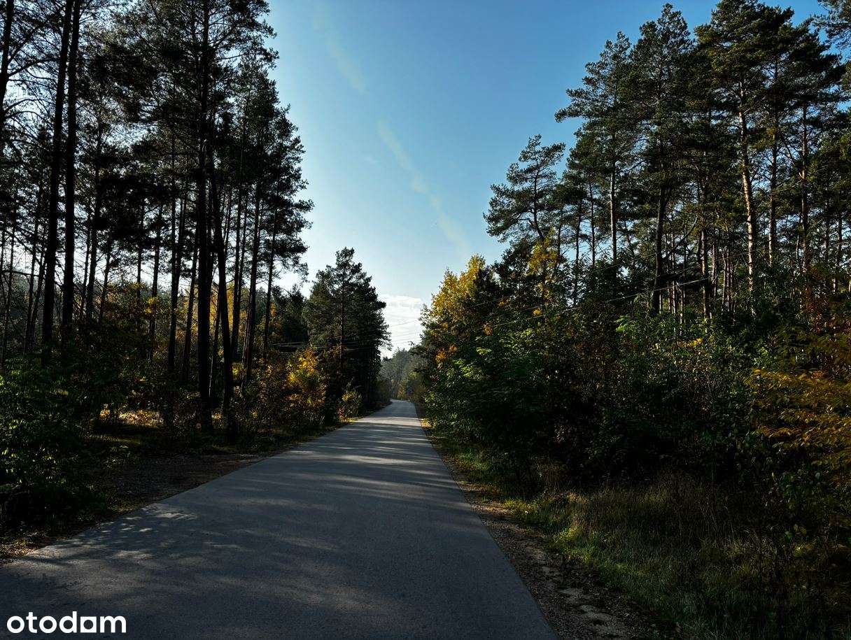 Działka rolno-leśna w centrum miejscowości Błędnica, 9,7142 ha-2