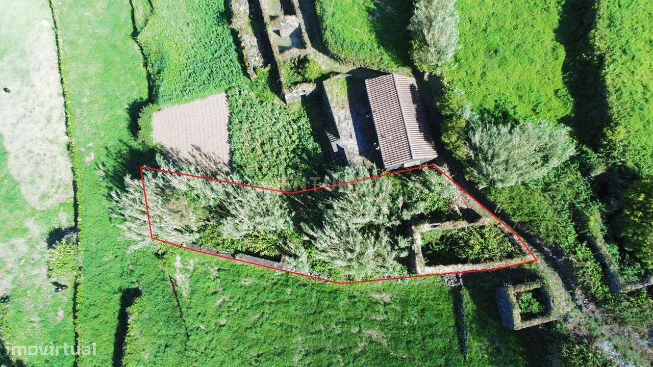 Oportunidade Única de Investimento – Ruína com Vista Mar e Serra | Lom - Grande imagem: 5/7