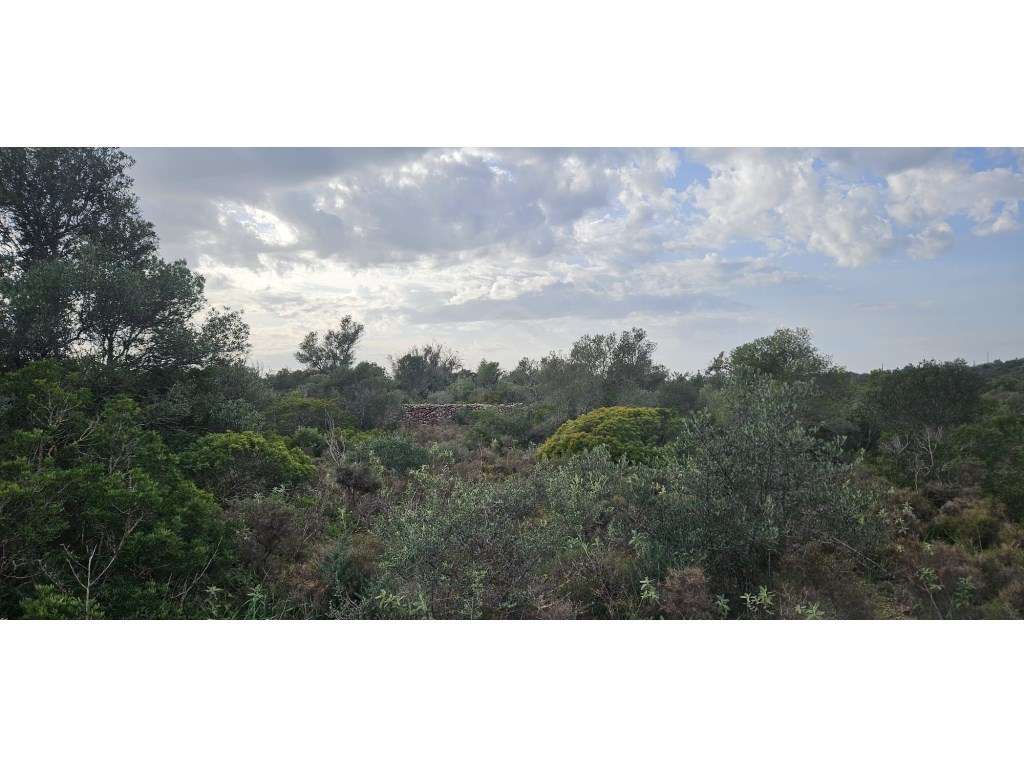 Terreno com ruina em Santa Margarida, Tavira, Algarve - Grande imagem: 4/9