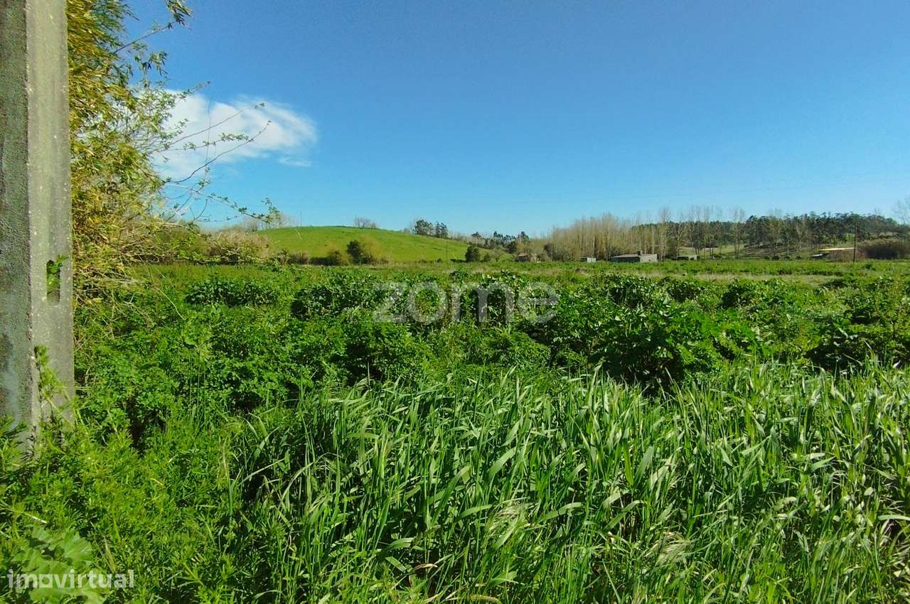 Terreno Rústico Leirão - Grande imagem: 5/20