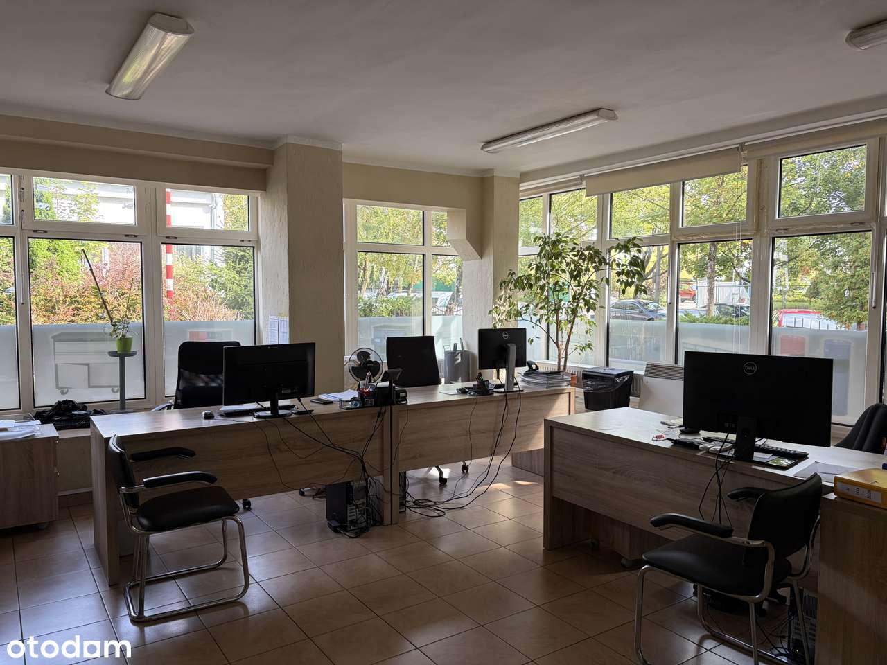 Lokal użytkowy, 100 m², Olsztyn