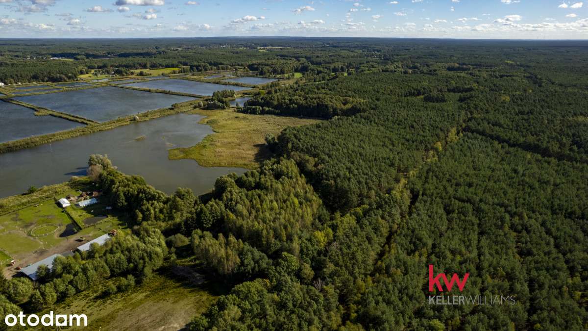 Działka rolna w enklawie leśnej Trzciel-Odbudowa. - Prikaz 3